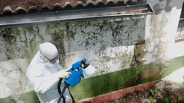 Top rated local Mold Remediation specialists in Columbia, TN